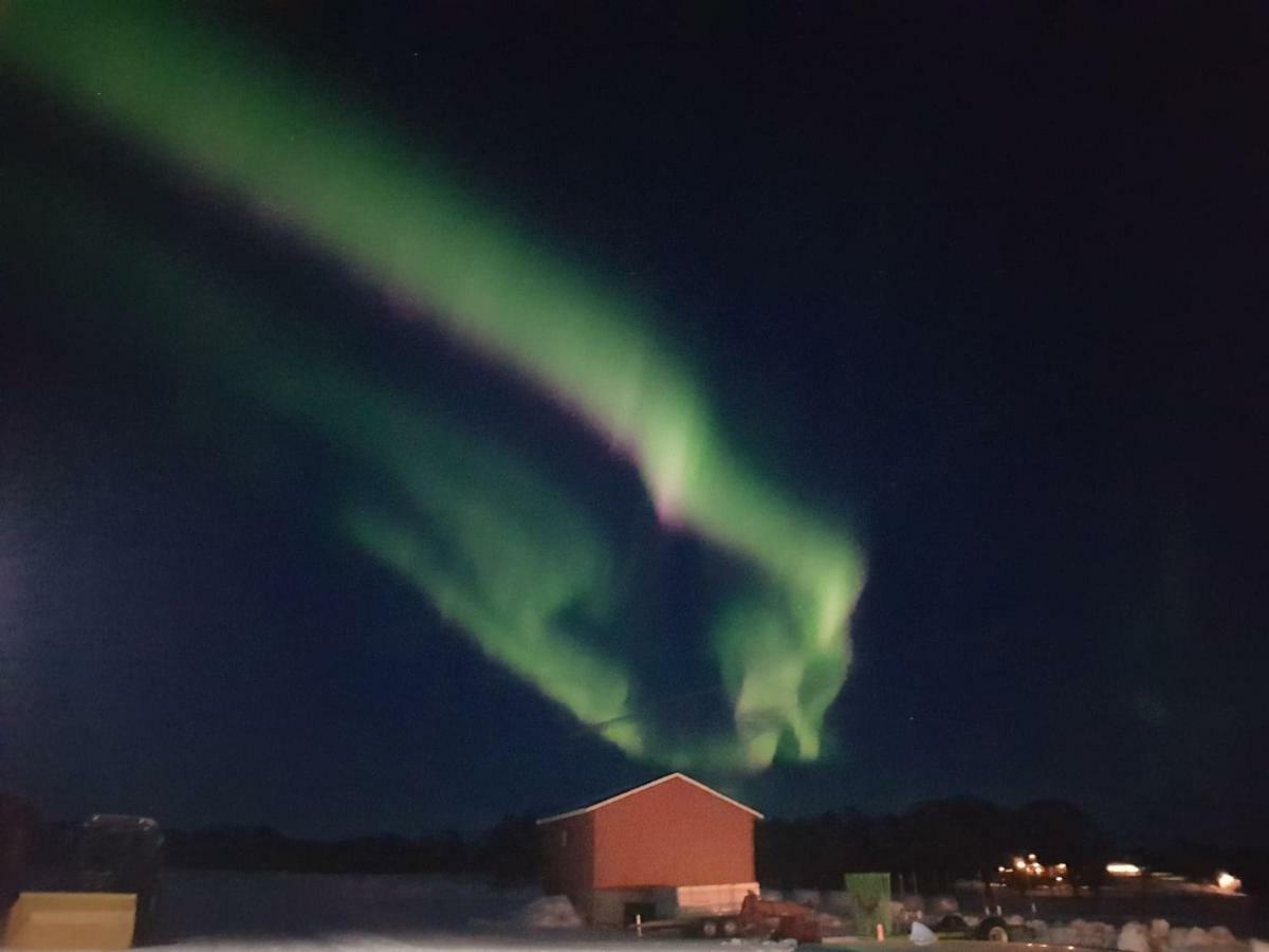 1 Room In The Yellow House, Close To Airport & Lofoten Evenskjer 외부 사진