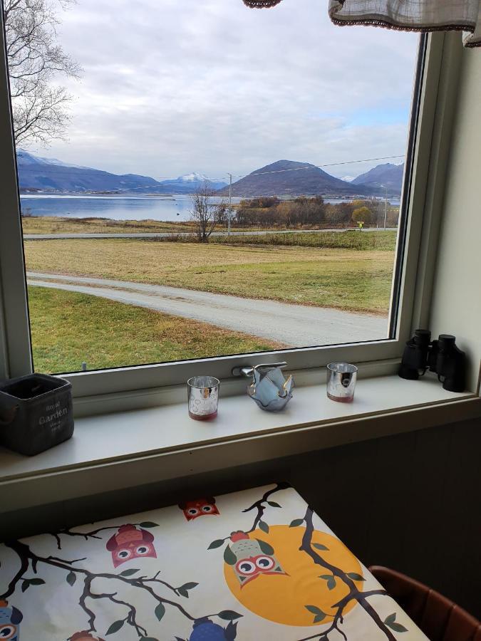 1 Room In The Yellow House, Close To Airport & Lofoten Evenskjer 외부 사진